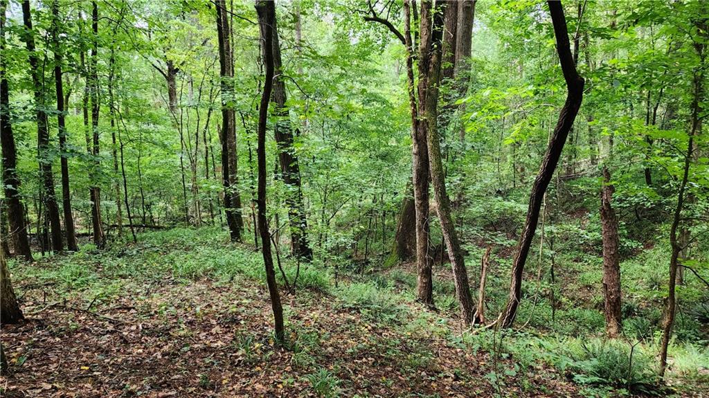 1661 Friendship Road Hoschton, GA 30548 - Photo 62 of 68