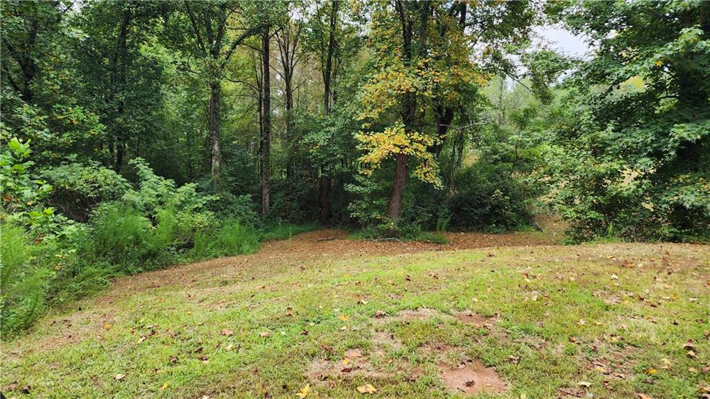 1661 Friendship Road Hoschton, GA 30548 - Photo 65 of 68