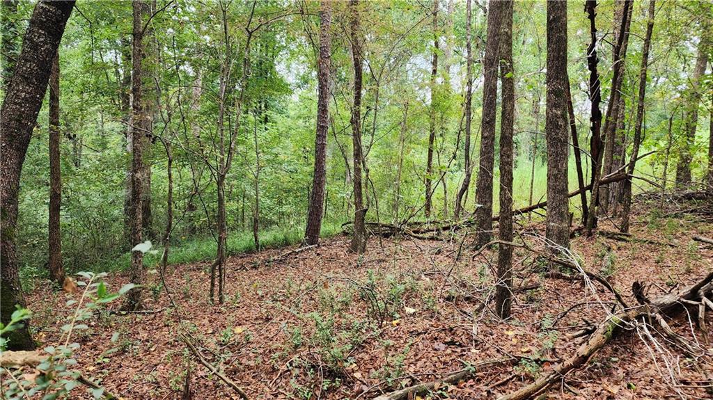 1661 Friendship Road Hoschton, GA 30548 - Photo 66 of 68