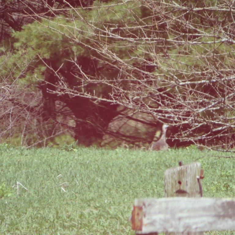 16188 6th Road Plymouth, IN 46563 - Photo 25 of 30 Gallery Image 25