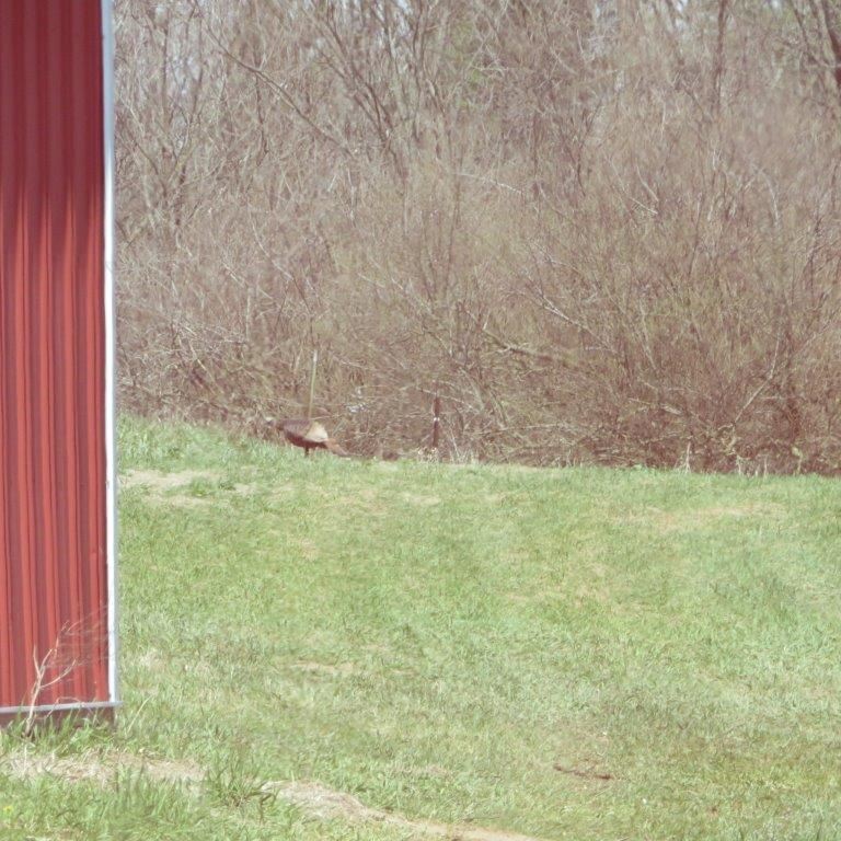 16188 6th Road Plymouth, IN 46563 - Photo 26 of 30 Gallery Image 26