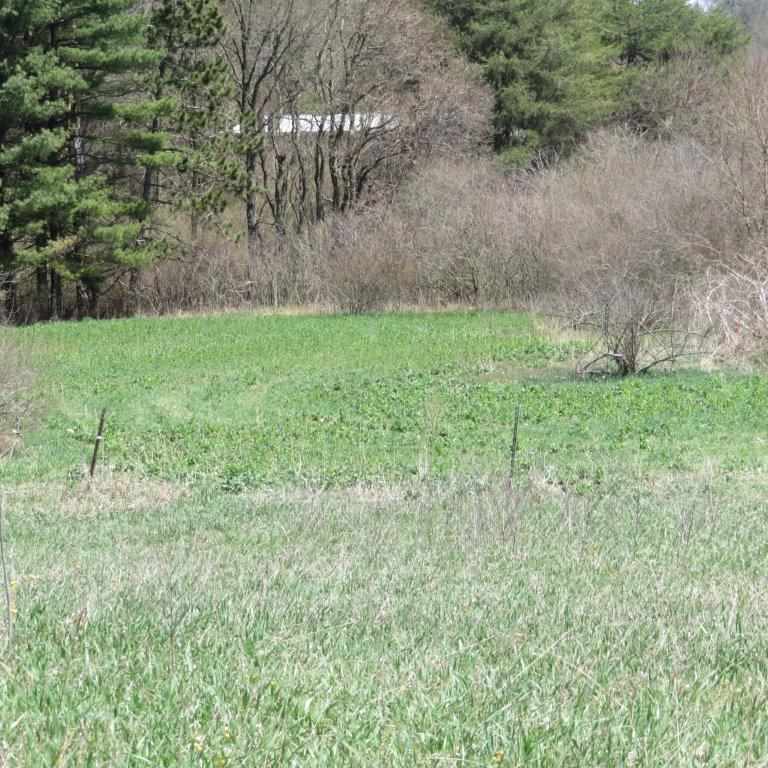 16188 6th Road Plymouth, IN 46563 - Photo 29 of 30 Gallery Image 29