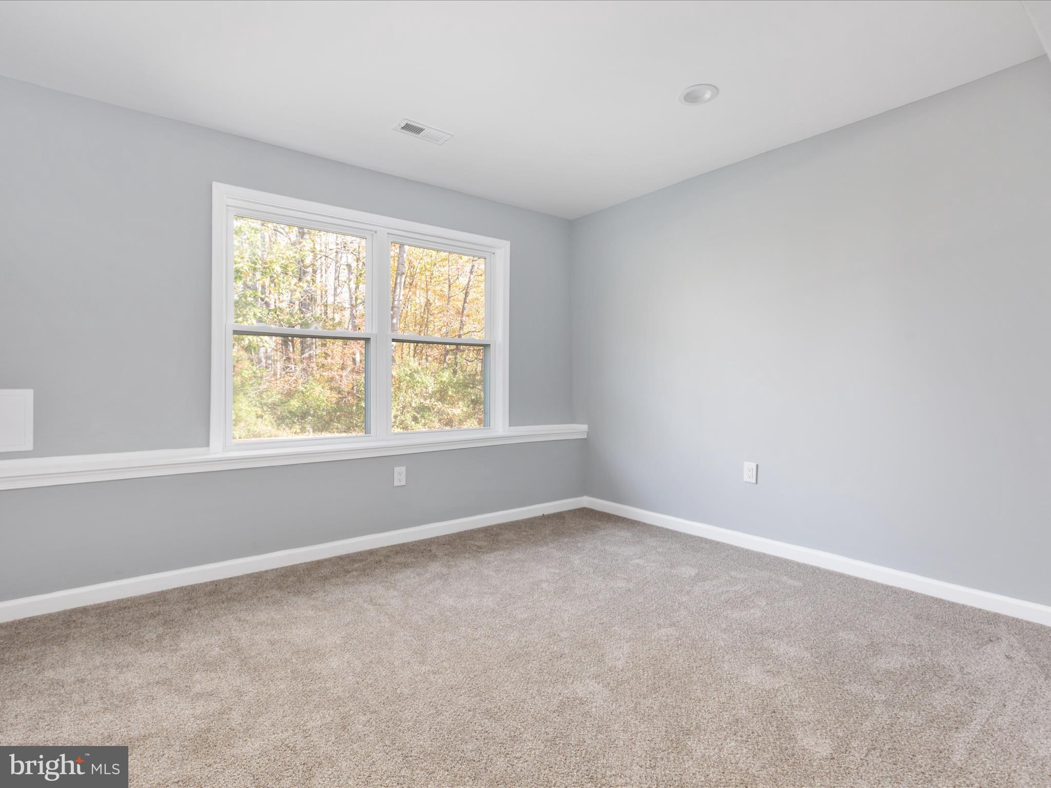10214 Unique Trail Rixeyville, VA 22737 - Photo 25 of 48 an empty room with a window