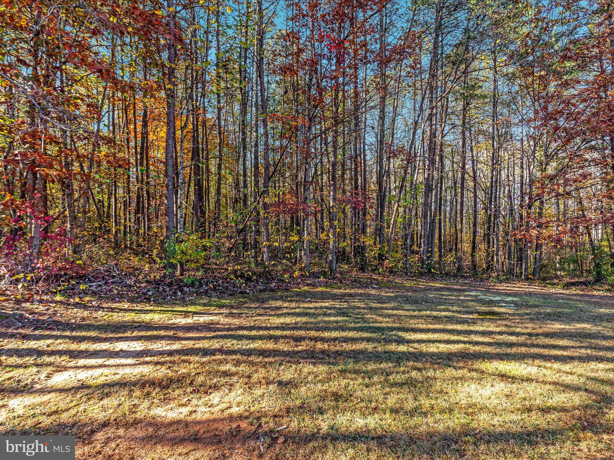 10214 Unique Trail Rixeyville, VA 22737 - Photo 39 of 48 a view of a volley ball court