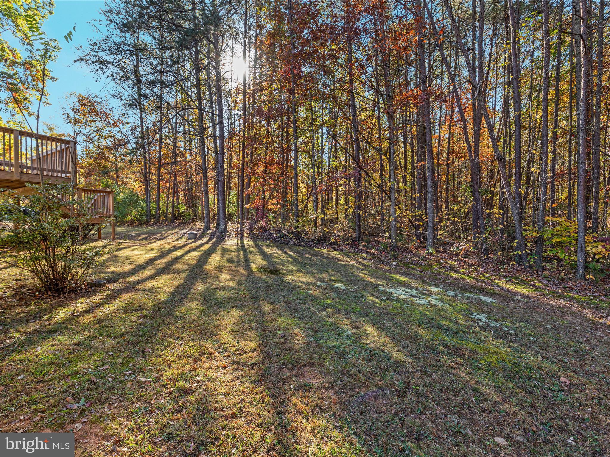 10214 Unique Trail Rixeyville, VA 22737 - Photo 40 of 48 a view of outdoor space with deck and tree
