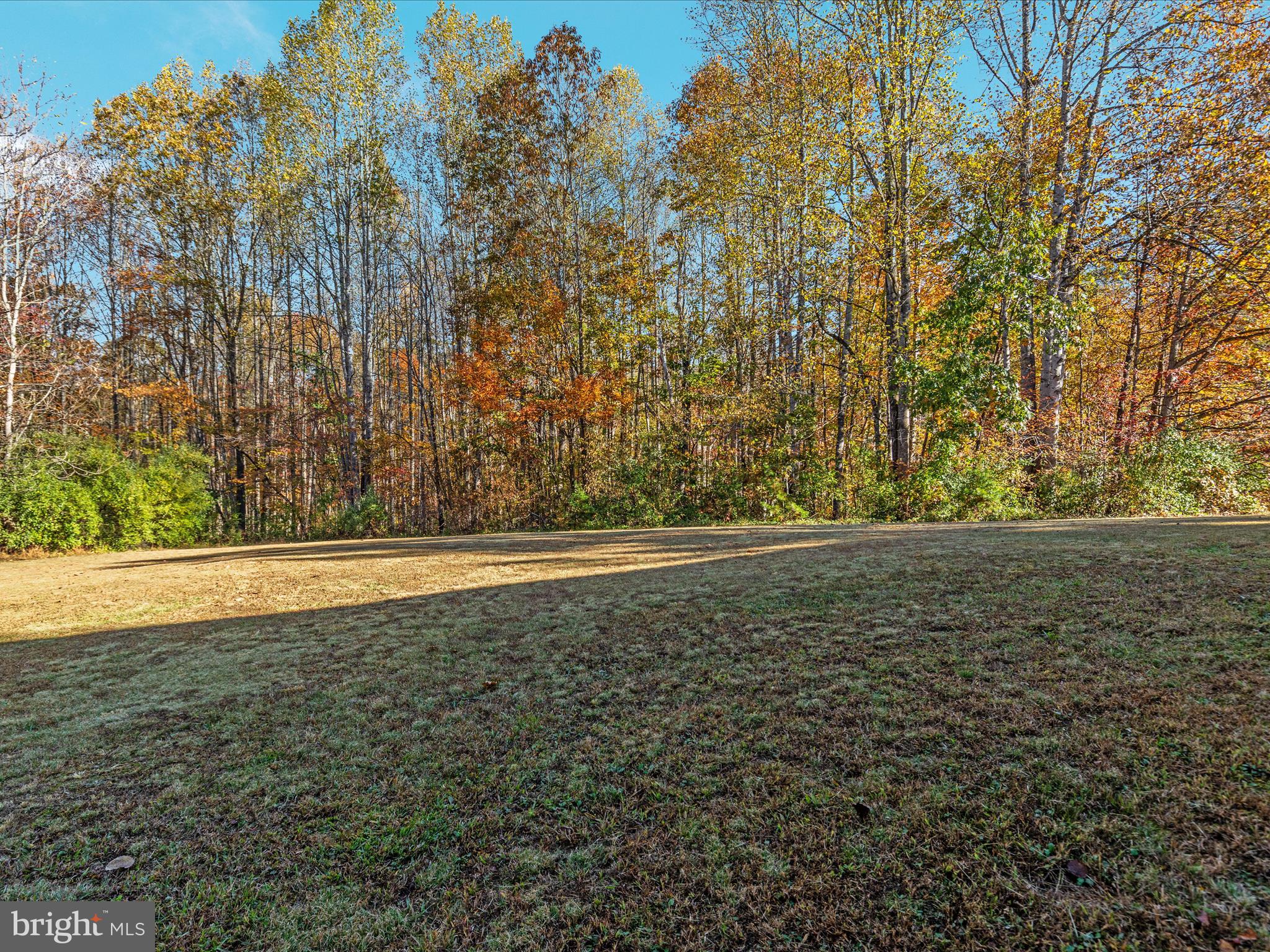 10214 Unique Trail Rixeyville, VA 22737 - Photo 41 of 48 a view of outdoor space and yard