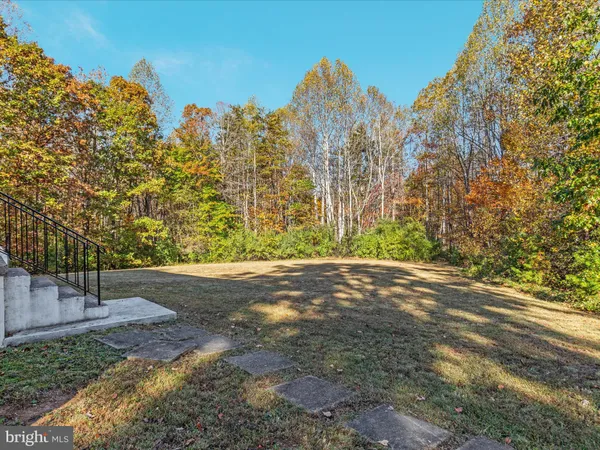 a view of a yard with large trees