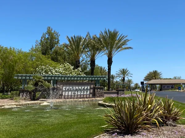 a view of a swimming pool with a garden and plants