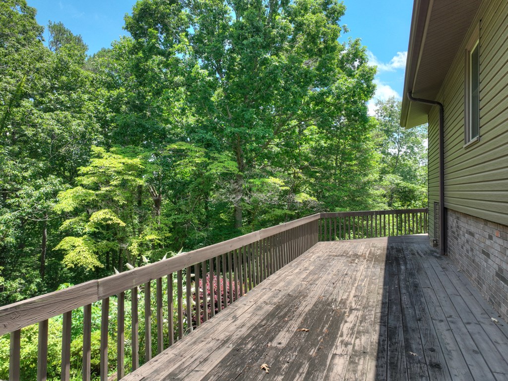 423 Chinquapin Road Ellijay, GA 30536 - Photo 56 of 64 Side deck on main level
