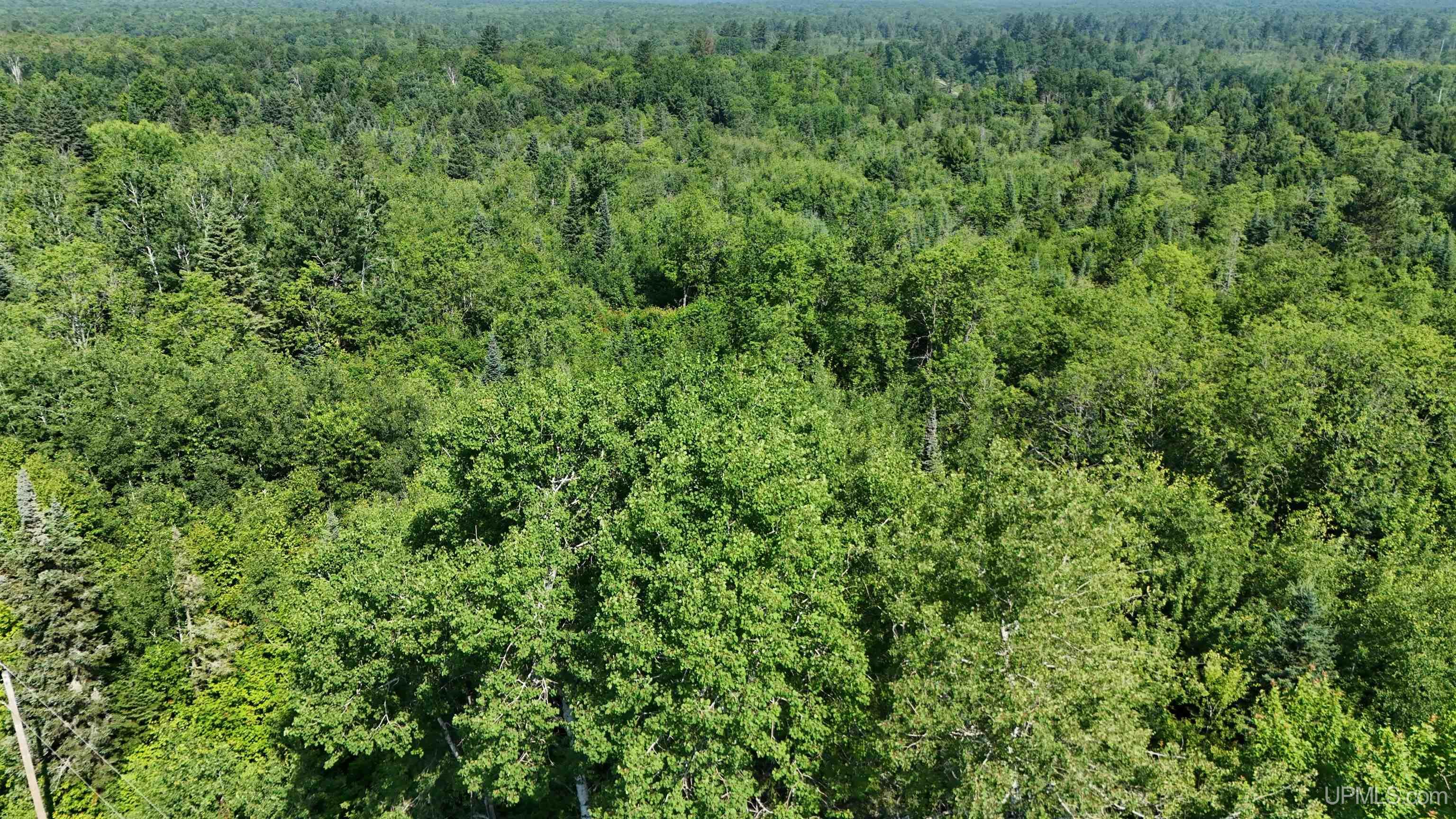 9692 North Laird Road Pelkie, MI 49958 - Photo 24 of 44