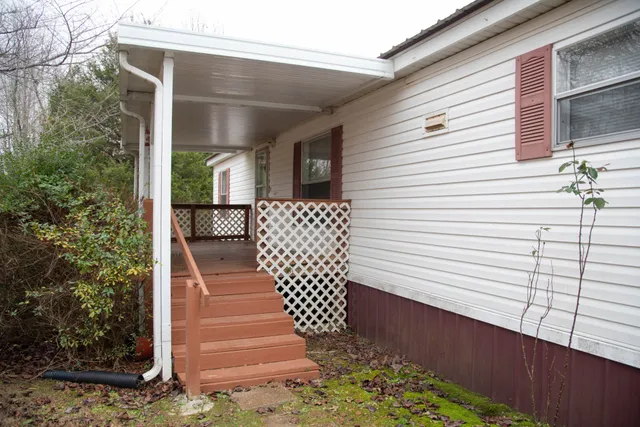 a white house that has a tree in front of it