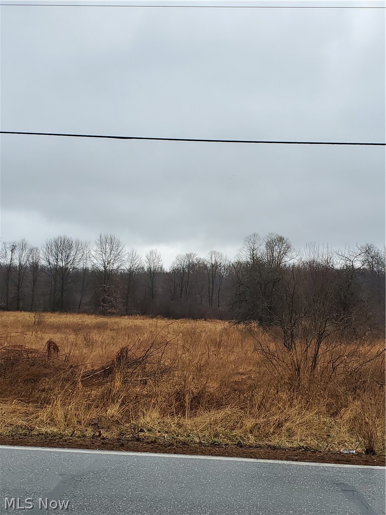 2603 Brady Lake Road Ravenna, OH 44266 - Photo 2 of 3