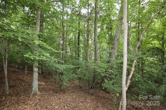 $560,000 | 7010 Rock Island Road, Charlotte, NC 28278