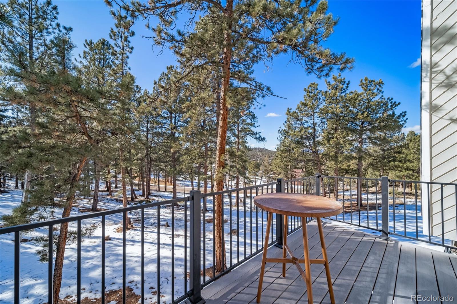 3454 Nova Road Pine, CO 80470 - Photo 23 of 43