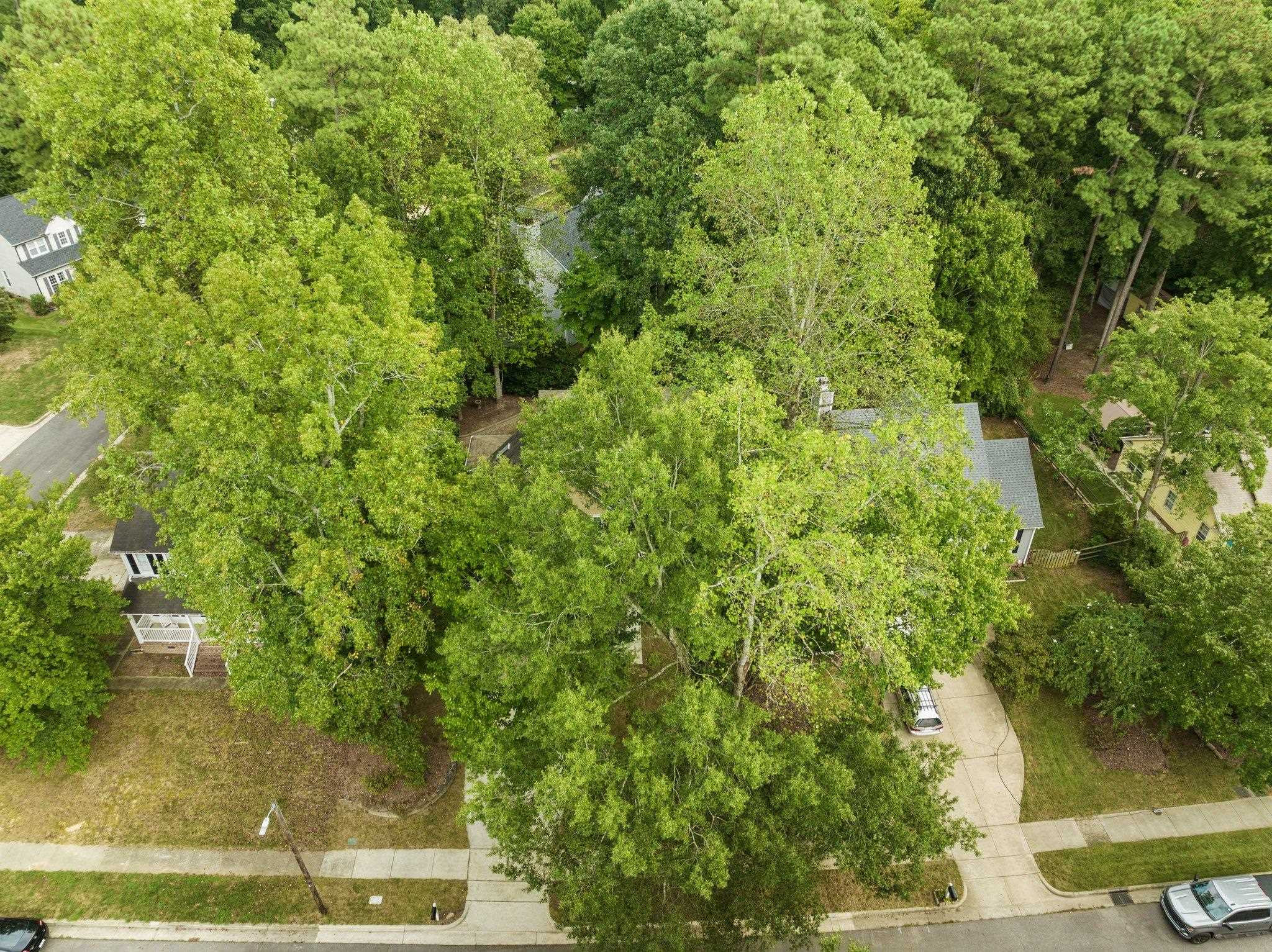 12028 North Exeter Way Raleigh, NC 27613 - Photo 44 of 48 Photo 44