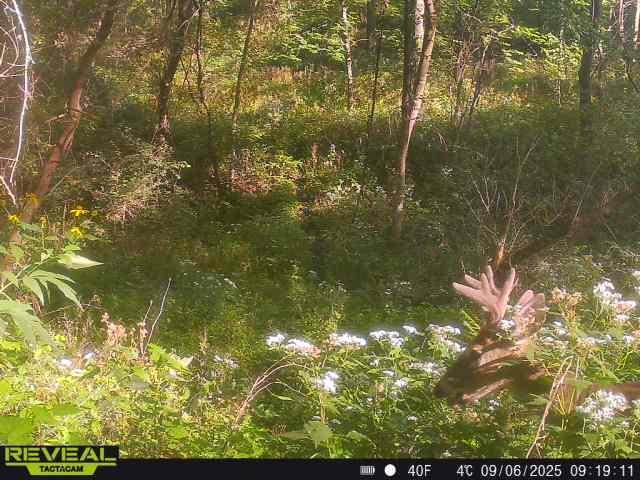 Tbd 48th Street Northeast Rochester, MN 55906 - Photo 21 of 27