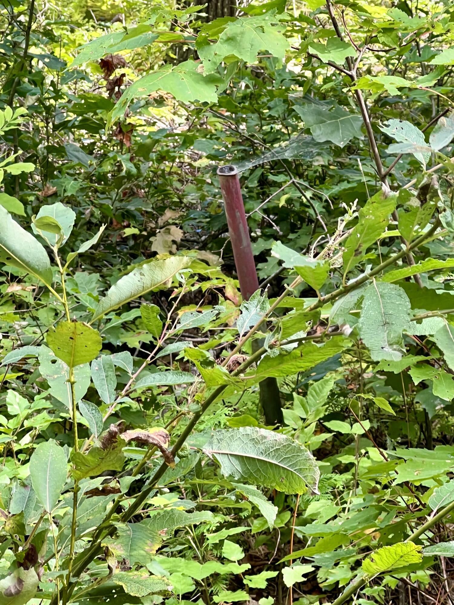 93 Bithers Brook Drive Unity, ME 04988 - Photo 23 of 26 Pin