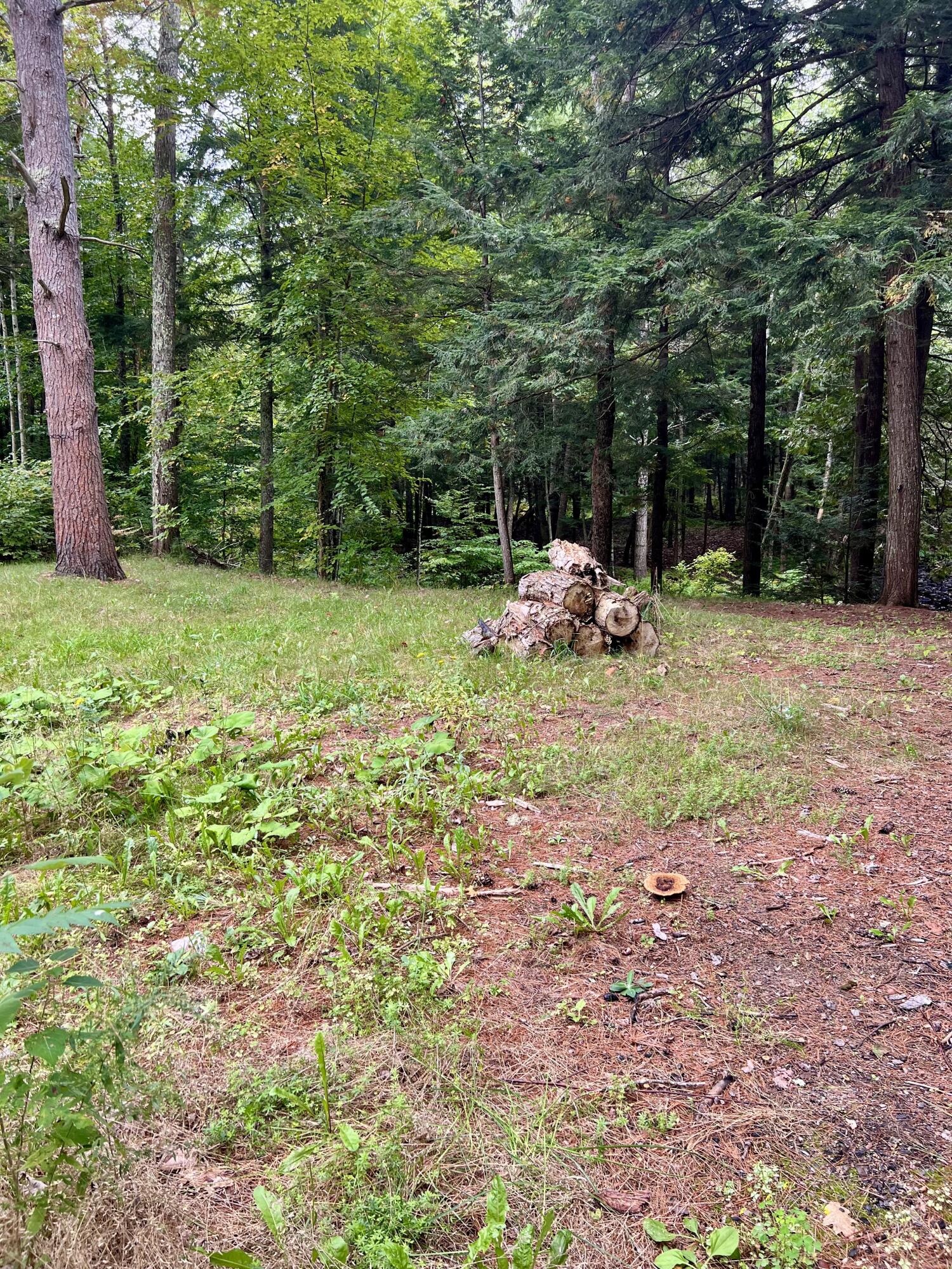 93 Bithers Brook Drive Unity, ME 04988 - Photo 25 of 26 Back yard