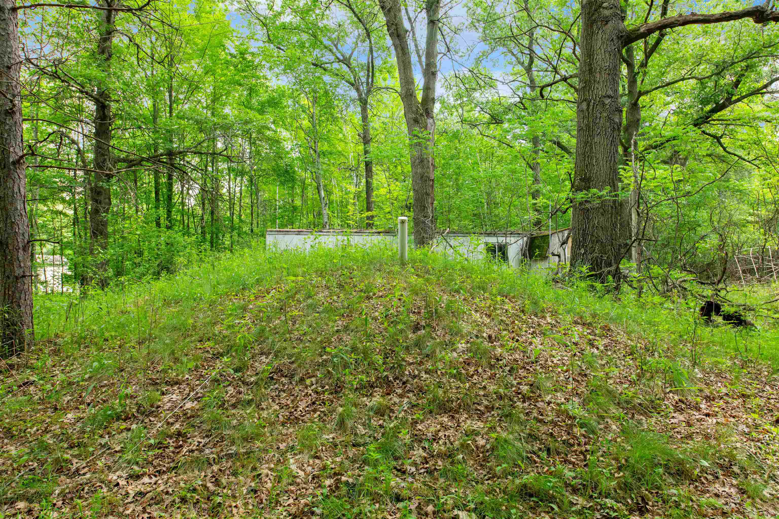 W3017 Hale School Road Peshtigo, WI 54157 - Photo 3 of 6