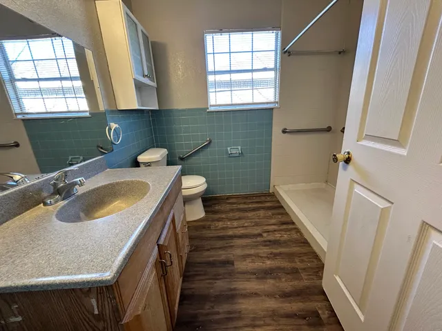 a bathroom with a sink and a toilet