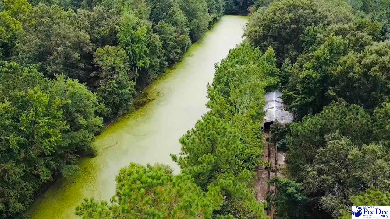 Tbd East Tbd E Friendfield Road Coward, SC 29530 - Photo 1 of 29 Gallery Image 1
