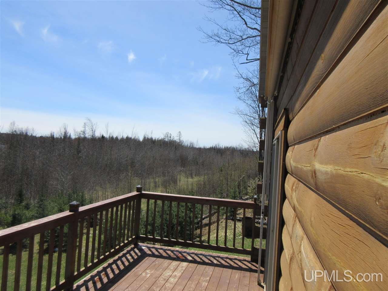 119 Ridge View Drive Iron River, MI 49935 - Photo 3 of 44
