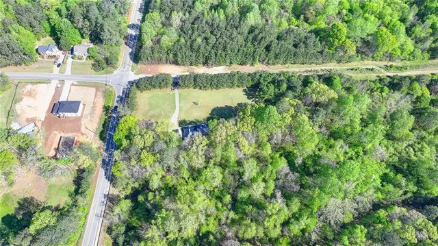 a view of a yard with plants and large trees