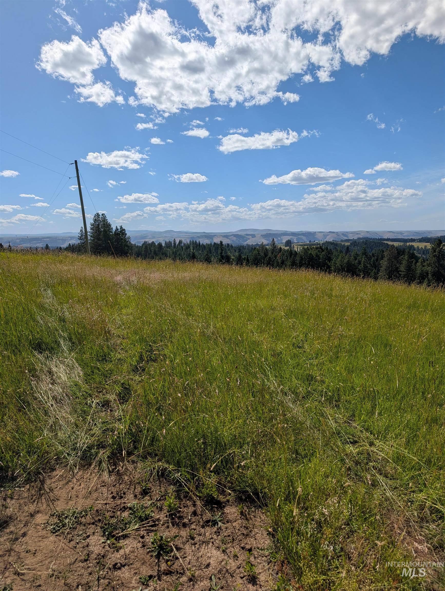 13 Red Fir Road Kooskia, ID 83539 - Photo 6 of 24