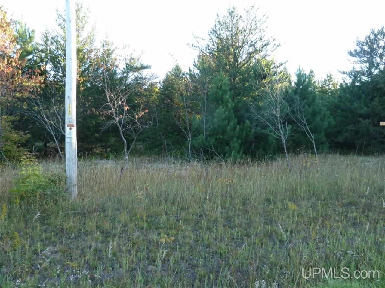 Tbd Obenhoff Road, Unit 7 Atlantic Mine, MI 49905 - Photo 12 of 12 Gallery Image 12