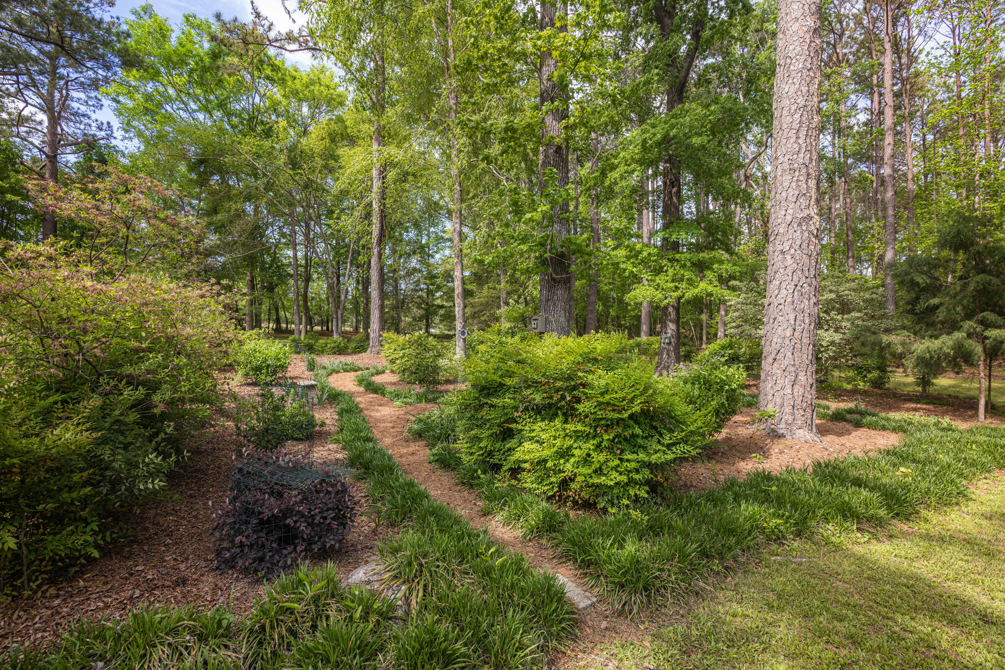 6521 Stanford Road Harlem, GA 30814 - Photo 5 of 72 60-6521 Stranford Road-55