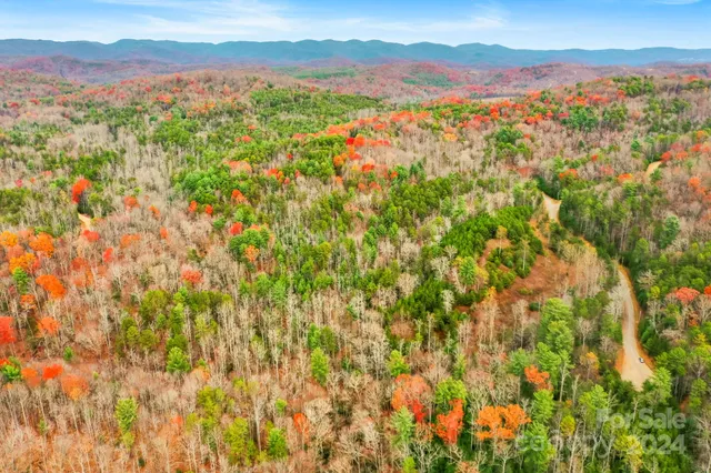 a view of city and mountain