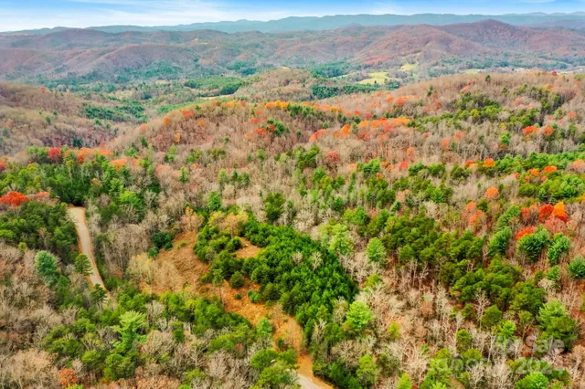 a view of a lush green field with mountains in the background