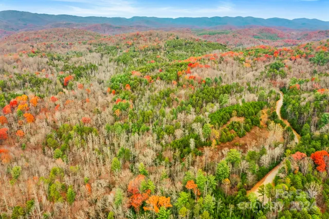 a view of city and mountain