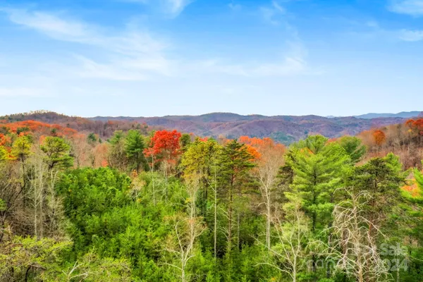 a view of a lush green field with mountains in the background