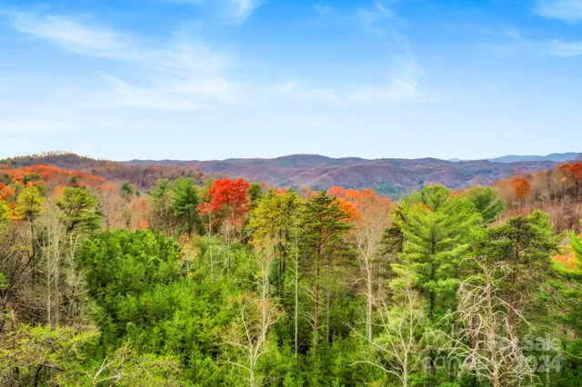 a view of a lush green field with mountains in the background
