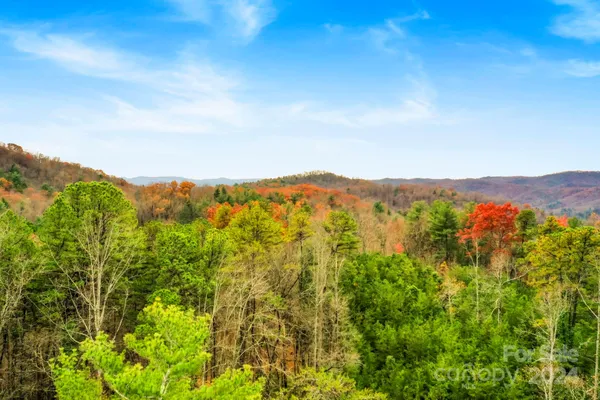 a view of a lush green forest with mountains in the background