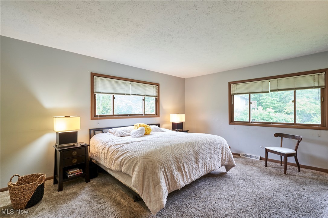 3196 Shade Road Akron, OH 44333 - Photo 14 of 30 Master bedroom with back yard views, walk in closet and carpeted floors