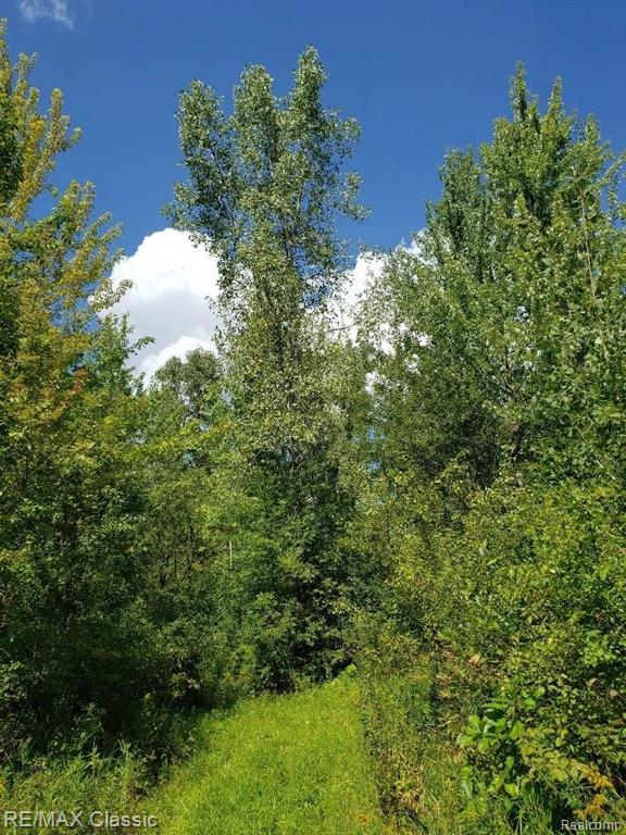50140 West 9 Mile Road Novi, MI 48374 - Photo 20 of 27 Gallery Image 20