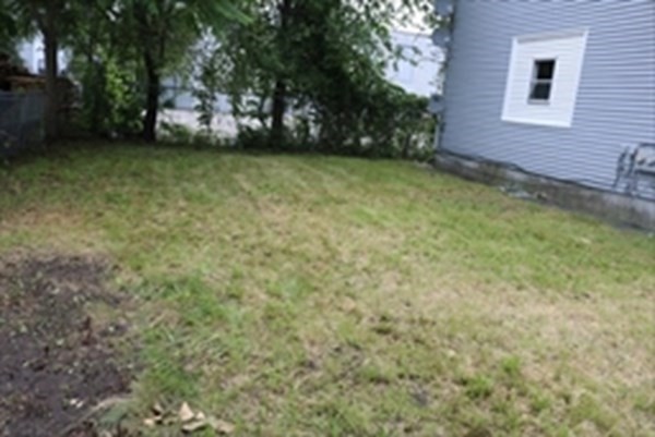 8 Knowlton Avenue Worcester, MA 01603 - Photo 35 of 35 a view of a backyard with a tree