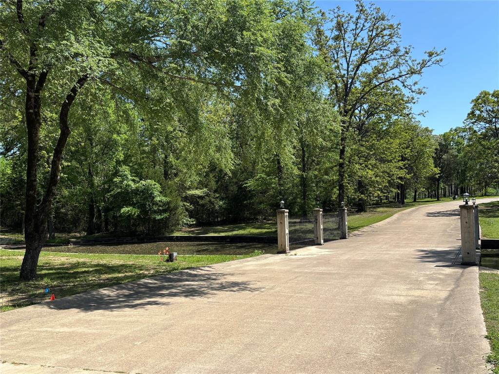 View of road with a forest view