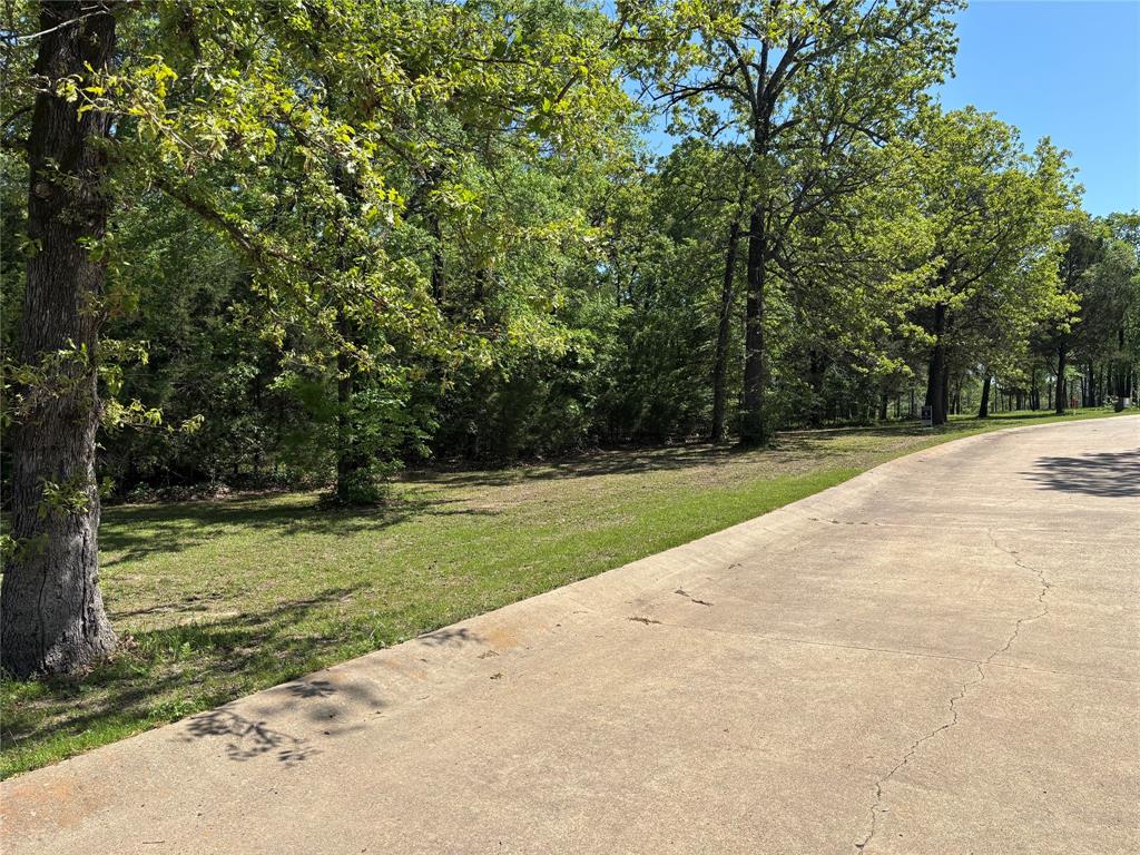 376 Private Road 5945 Yantis, TX 75497 - Photo 2 of 6 View of road with a view of trees