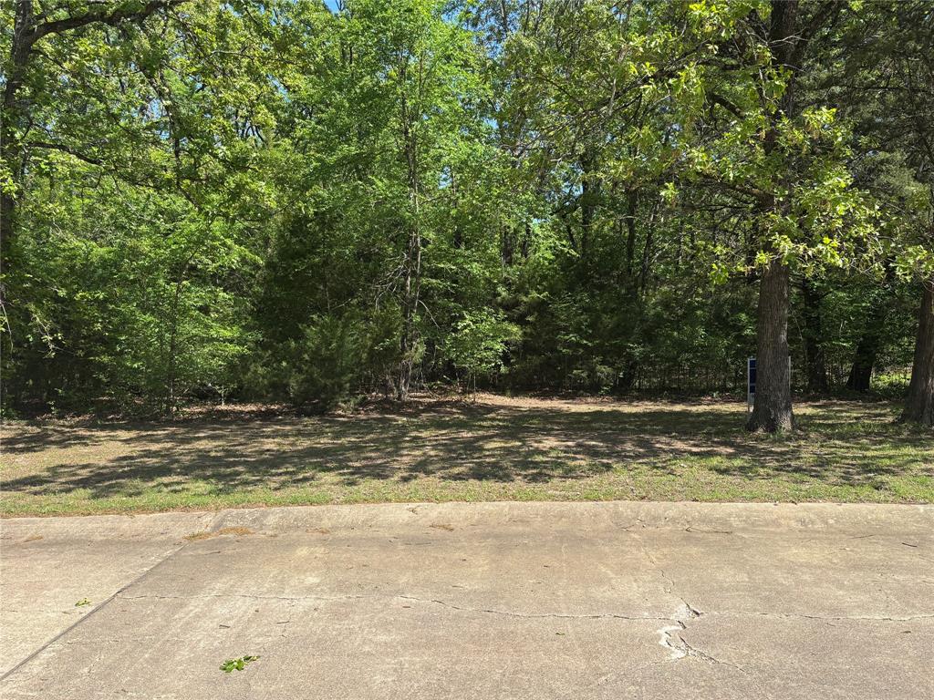 376 Private Road 5945 Yantis, TX 75497 - Photo 4 of 6 View of street