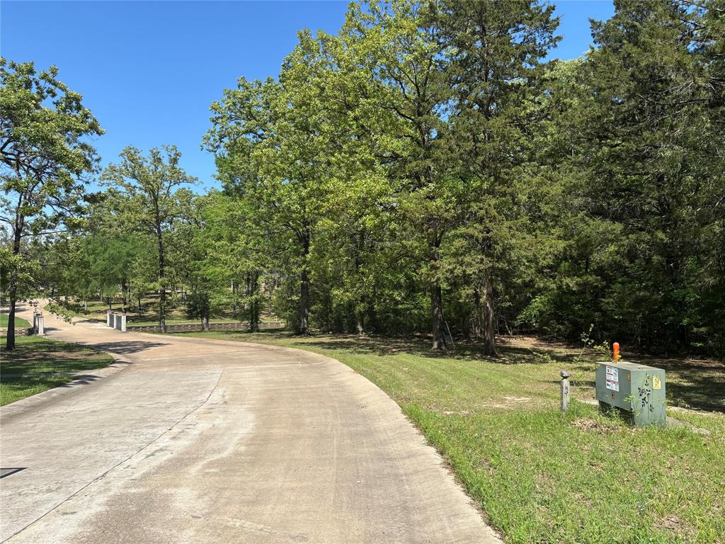 376 Private Road 5945 Yantis, TX 75497 - Photo 5 of 6 View of frontage