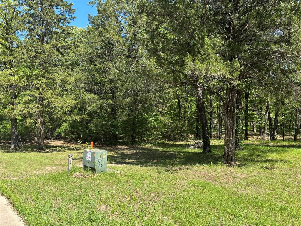 376 Private Road 5945 Yantis, TX 75497 - Photo 6 of 6 View of yard featuring a wooded view