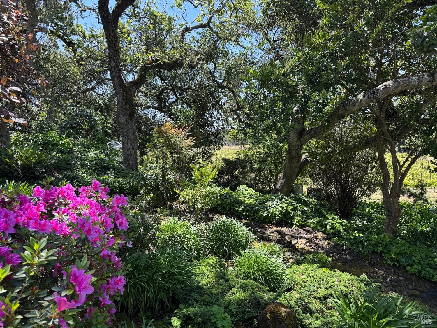 6410 Bennett Valley Road Santa Rosa, CA 95404 - Photo 8 of 34