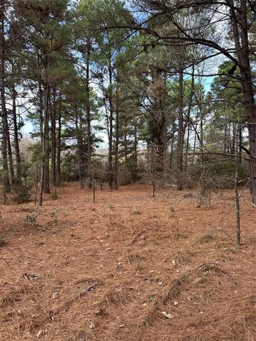 a view of a lake in between the field