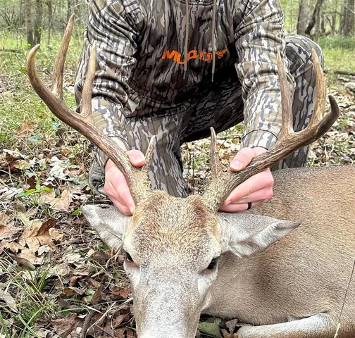 a view of a lake from a forest