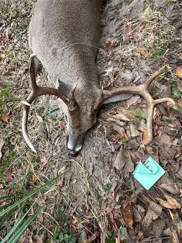a view of a bathroom