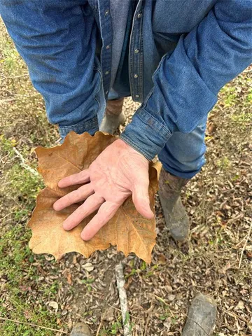 $1,529,000 | 280 Oakwood Tx 75855, Oakwood, TX 75855