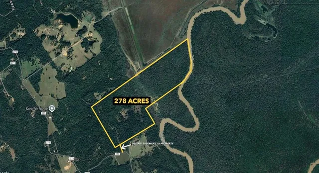 a view of a field with trees